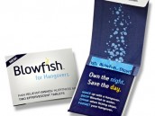 Fight Hangovers and Get Back in the Ring with Blowfish