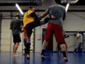 MMA Training- Taking Sparring to a Science
