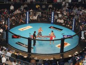 Maryland Gyms Come Out On Top at Shogun Fights VI