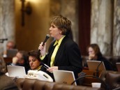 Representative Pat Strachota Looks To Enact Bill Giving Local Municipalities Opportunity to Outlaw Mixed Martial Arts